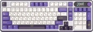 RK-S98 RGB Blackberry (RK Chartreuse)