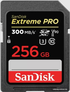 Extreme PRO SDXC SDSDXDK-256G-GN4IN 256GB