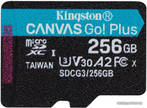 Canvas Go! Plus microSDXC 256GB