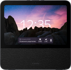 Smart Display 10R (русская версия)