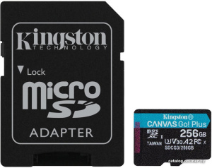 Canvas Go! Plus microSDXC 256GB (с адаптером)