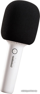 Karaoke Microphone 2