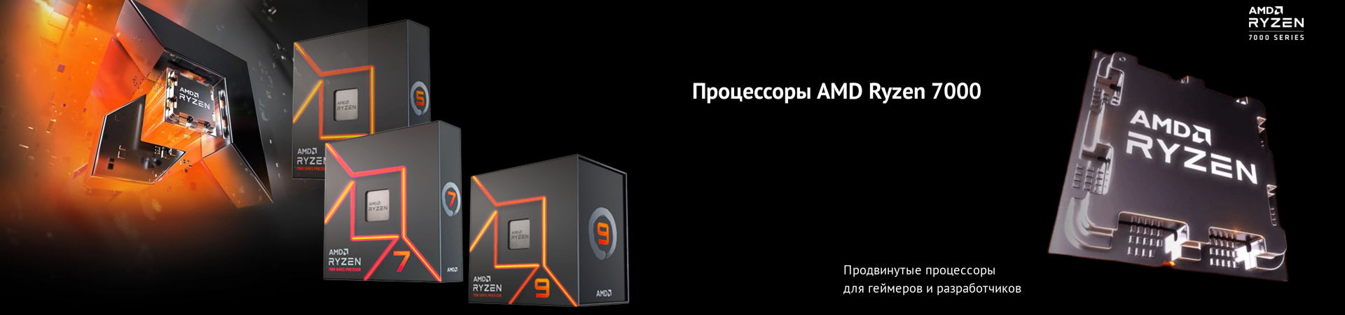 AMD