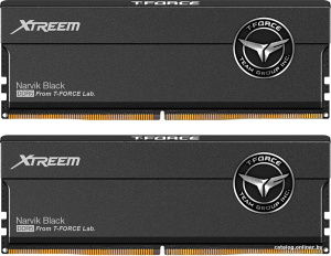 T-Force Xtreem ARGB 2x24ГБ 8200 МГц FFXD548G8200HC38EDC01