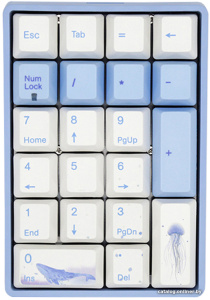 VA21M Sea Melody (Cherry MX Brown)