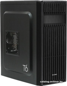 T6
