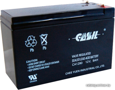 Купить аккумулятор для ибп casil ca1290 (9 а·ч) в интернет-магазине X-core.by