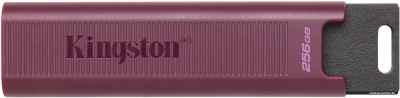 USB Flash Kingston DataTraveler Max Type-A 256GB  купить в интернет-магазине X-core.by