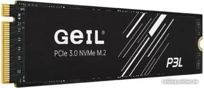 SSD GeIL P3L 256GB P3LFD16I256G  купить в интернет-магазине X-core.by