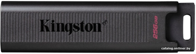 USB Flash Kingston DataTraveler Max Type-C 256GB  купить в интернет-магазине X-core.by