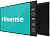 55DM66D