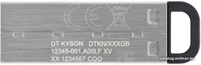 USB Flash Kingston Kyson 128GB  купить в интернет-магазине X-core.by