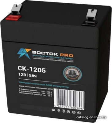 Купить аккумулятор для ибп восток ск-1205 (12в/5 а·ч) в интернет-магазине X-core.by