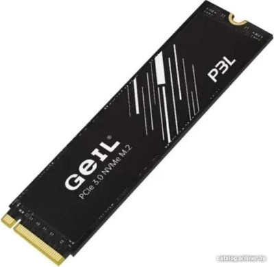 SSD GeIL P3L 256GB P3LFD16I256G  купить в интернет-магазине X-core.by