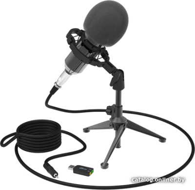 Купить микрофон ritmix rdm-160 в интернет-магазине X-core.by