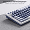 Купить клавиатура royal kludge m87 rgb ocean blue (rk beige) в интернет-магазине X-core.by