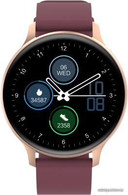 Купить умные часы canyon badian cns-sw68rr (золотистый/бордовый) в интернет-магазине X-core.by