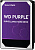 Purple 4TB WD43PURZ